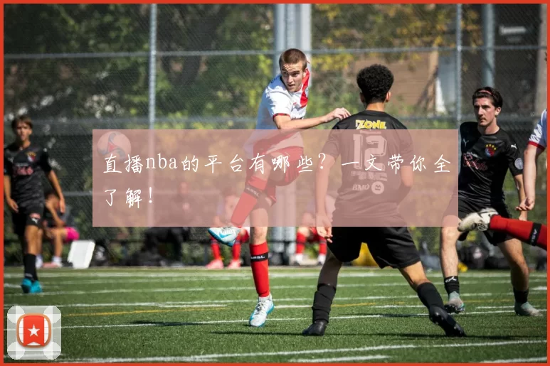 直播nba的平台有哪些？一文带你全了解！