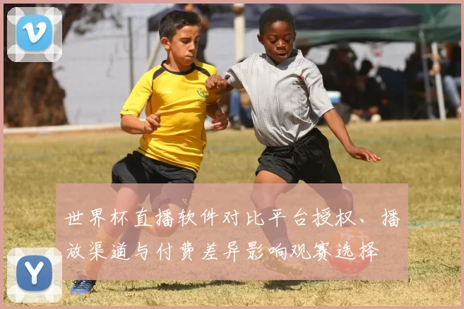 世界杯直播软件对比平台授权、播放渠道与付费差异影响观赛选择