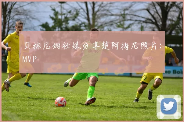 贝林厄姆社媒分享楚阿梅尼照片：MVP