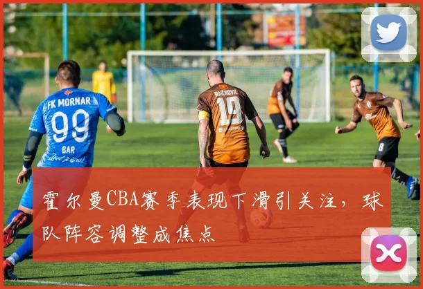 霍尔曼CBA赛季表现下滑引关注，球队阵容调整成焦点