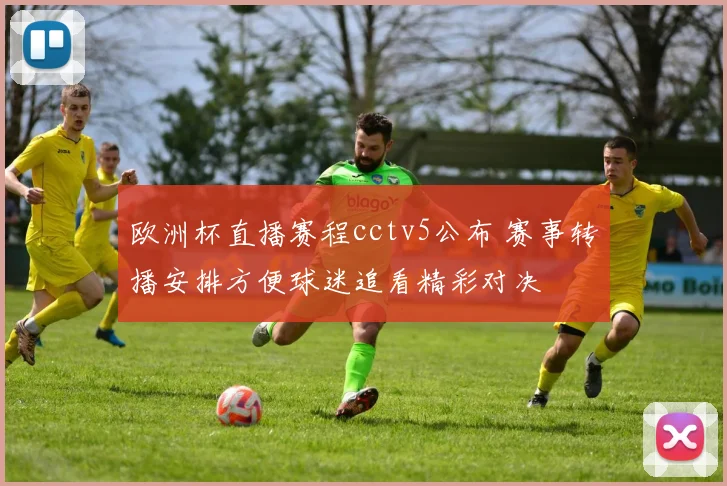欧洲杯直播赛程cctv5公布 赛事转播安排方便球迷追看精彩对决