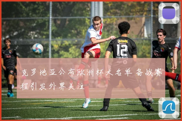 克罗地亚公布欧洲杯大名单 备战赛程引发外界关注