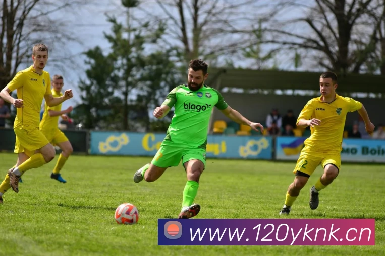 开云(中国)Kaiyun·官方网站 - 登录入口发展历程