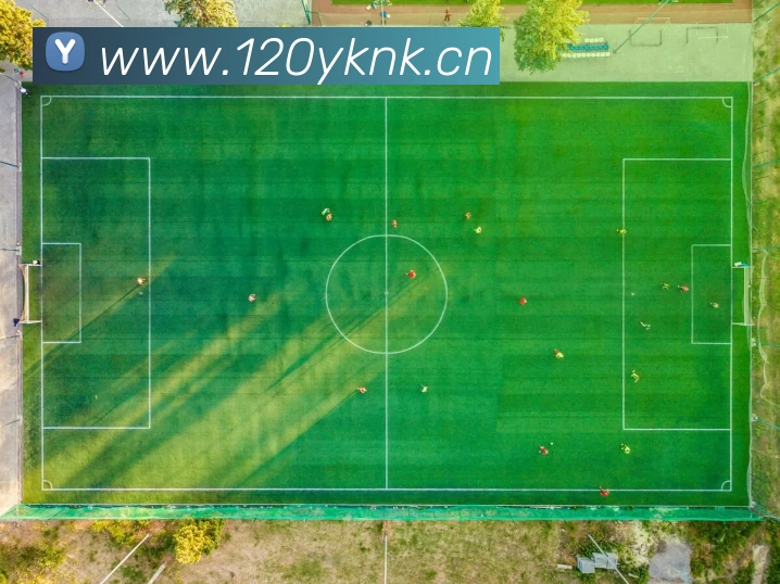 阿根廷足球国家队阵容:豪华配置背后的夺冠潜力几何?